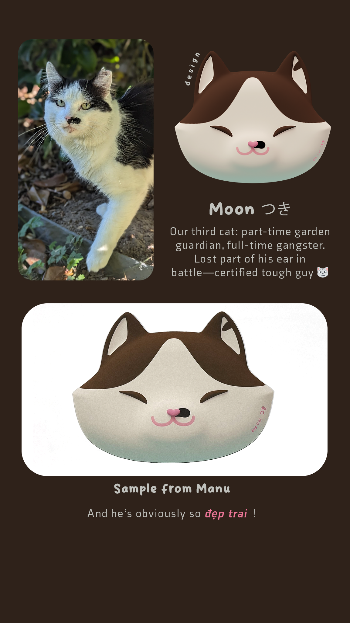 Illustration of a cat with a stylized face and text, alongside a plush toy version on a dark background.
