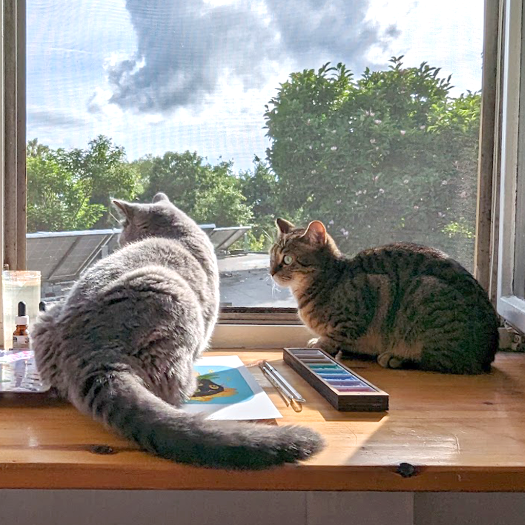 Picture of both our cats, left in grey, the British short hair Daiki, right our tabby momo